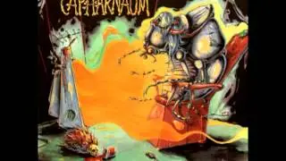 Capharnaüm - Vixit