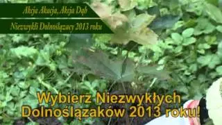 Konkurs Akcja Akacja, Akcja Dąb - Niezwykli Dolnoślązacy 2013