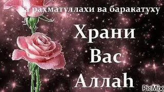 Ассалому алайкум хаммага