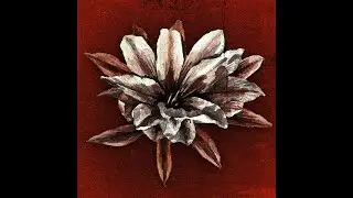 LOTUS (Full EP)