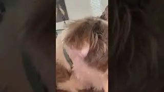 Trosh kiss