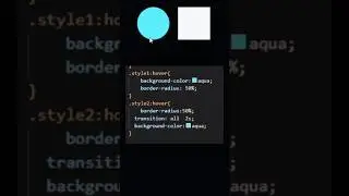 Css Transition & Not Transition 