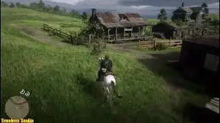 Red Dead Redemption 2 - survivalist challenge 7 - (8 consecutive Small game Kills) Easyway