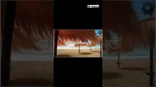 yt