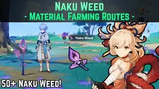 How to Farm Naku Weed (50+ in these Farming Routes) | Genshin Impact Guide