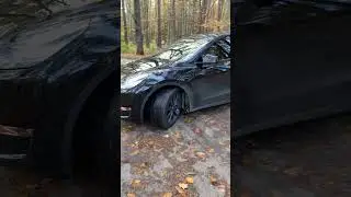 #tesla #automobile #teslamodely #teslaperformance