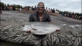 Fishermen Pele | Thousands of Fish in One Net 😱 | Amazing Fishing Scene  in Goa 