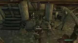SKyrim- 2 handed build?
