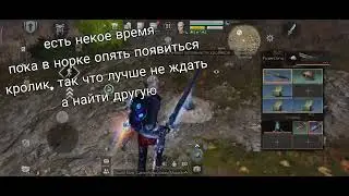 Life after, как быстро ловить кроликов)