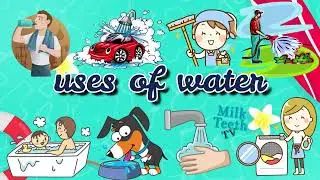 Uses of water | An informative an fun video on importance of water