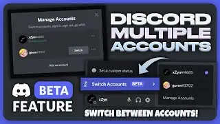 *MULTIPLE ACCOUNTS* on Discord! (BETA Feature)