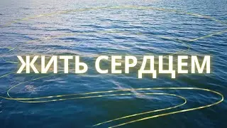 Есть ли у тебя Сердце? Есть ли у тебя Душа? Откуда ты это знаешь?