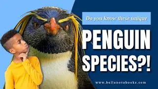 WOW! Meet These 5 Unique Penguin Species You Never Knew Existed!