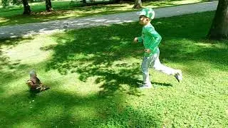 park, nature
