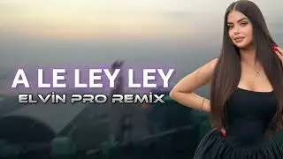 Elvin Pro - A Le Ley Ley (Yeni 2024) TikTok Remix