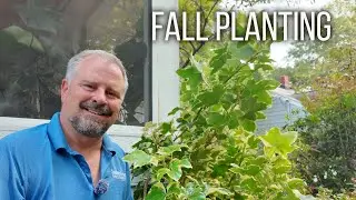 Is Fall for Planting? - 5 Minute Friday