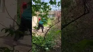 Работа кипит 😎измельчение веток 🪚малышь уничтожает ветки за секунду)