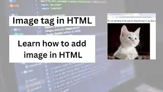 Image tag in HTML| Learn how to add image in html
