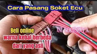 How to install the Beat Fi ESP ECU socket with different cables