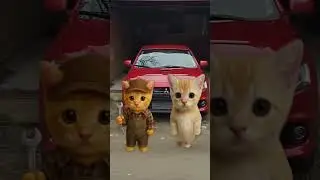 Kisa buys a Mitsubishi Lancer 