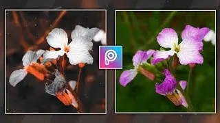 How To Edit Moody Orange In PicsArt || Lightroom Photo Editing || Dark Moody Orange || Kashif Edits