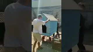 Добрый пёс Базилио мечтает стать домашним!💫