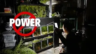 Power outage. Fish room check up