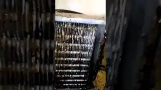 Чистка парогенератором