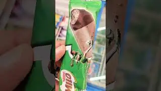 Nestle Milo IceCream 