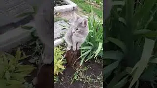 жизнь прекрасна