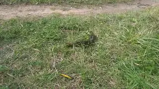 кубинка щука на спининг