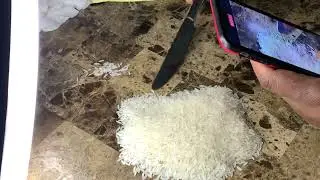 Counting Rice 🍚 Part 1