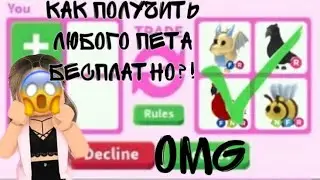 ШОК!КАК ПОЛУЧИТЬ ЛЮБОГО ПЕТА?|Marmadel✨