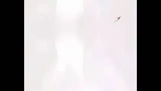 FUNİMATE animation