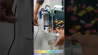 Shocking Fish Aquarium Cleaning System Revealed! #Shorts