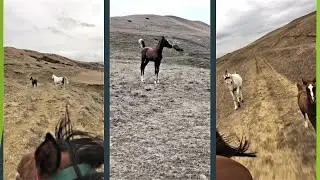 Самая интересная семейная прогулка. Дагестан.