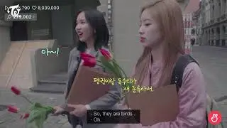 MINA + DAHYUN = BIRDS¿