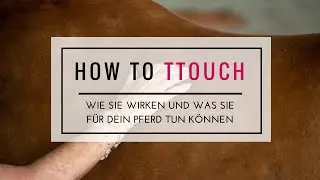 Pferd easy entspannen mit TTouches - Interview mit der Erfinderin Linda Tellington-Jones