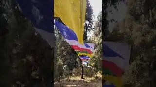 Delo Park Kalimpong India #music #nature