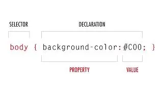 Web Design Basics | CSS Basics