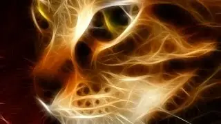 Кошки общаются с малышами смотреть видео прикол
