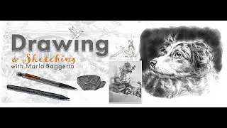 Introducing Drawing and Sketching - An Online Course with Marla Baggetta