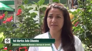 Día Mundial de la Salud