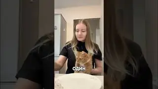 Cutest kitty ever😍 Author: thefoxi.cat