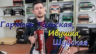 Тульская гармонь, гармонь Ивушка тональность Ля, Чайка 2  Обзор Демонстрация