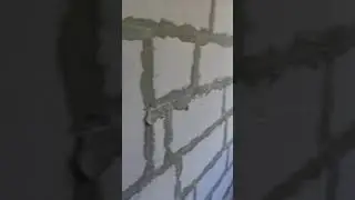 18 августа 2020 г.
