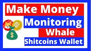 shitcoin trading strategies - How to Monitor Whales Shitcoins Wallet