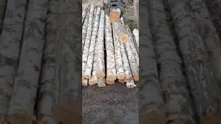 Лесовоз застрял в грязи! Разгружаемся...