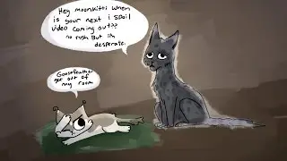 Warrior cats 20 Questions!