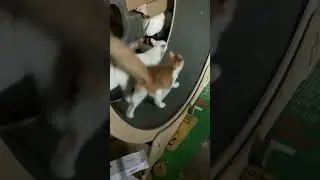 в̠м̠е̠с̠т̠е̠ в̠е̠с̠е̠л̠о̠ ш̠а̠г̠а̠т̠ь̠